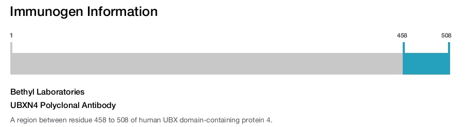 UBXN4 Polyclonal Antibody