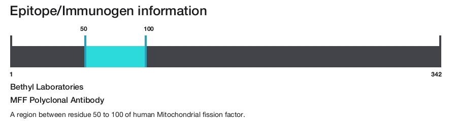 MFF Polyclonal Antibody