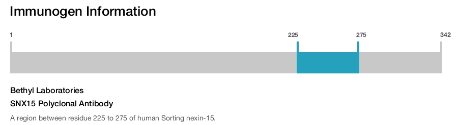 SNX15 Polyclonal Antibody