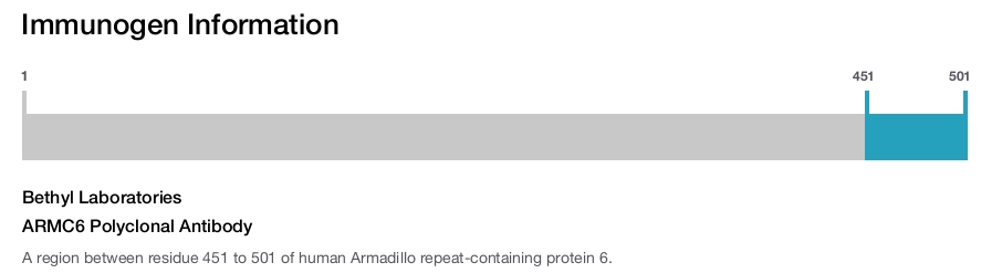 ARMC6 Polyclonal Antibody