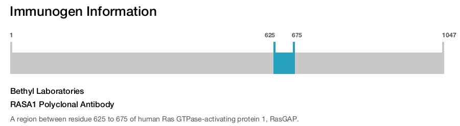 RASA1 Polyclonal Antibody