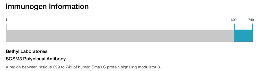 SGSM3 Polyclonal Antibody