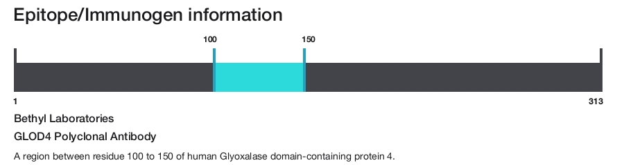 GLOD4 Polyclonal Antibody