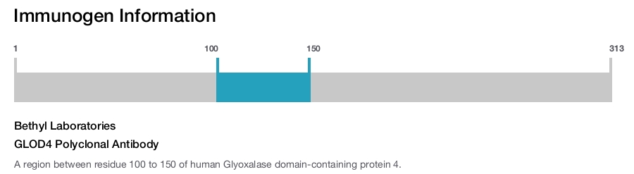 GLOD4 Polyclonal Antibody