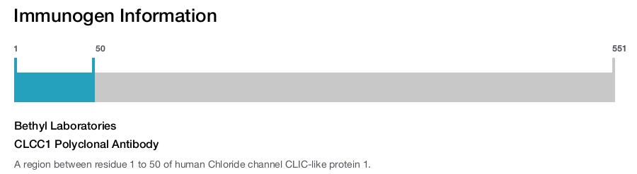 CLCC1 Polyclonal Antibody