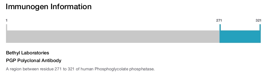 PGP Polyclonal Antibody
