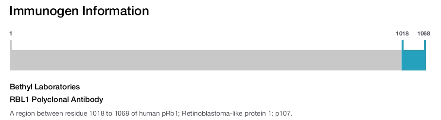 RBL1 Polyclonal Antibody