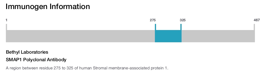 SMAP1 Polyclonal Antibody