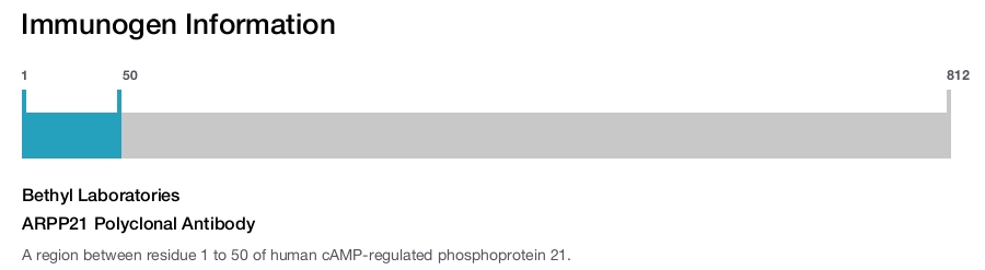 ARPP21 Polyclonal Antibody