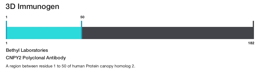 CNPY2 Polyclonal Antibody