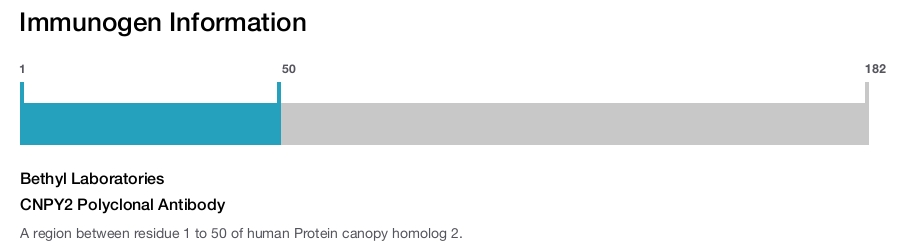 CNPY2 Polyclonal Antibody