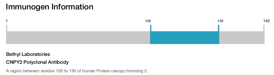 CNPY2 Polyclonal Antibody