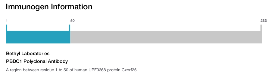 PBDC1 Polyclonal Antibody
