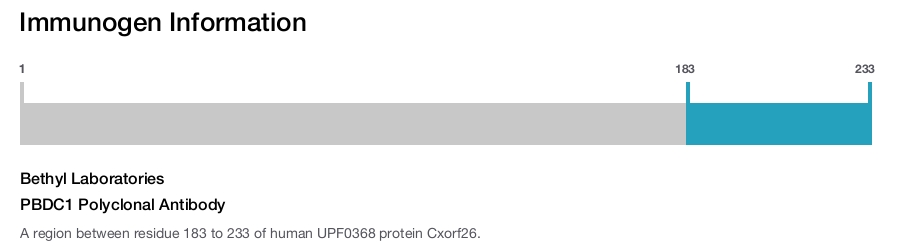 PBDC1 Polyclonal Antibody