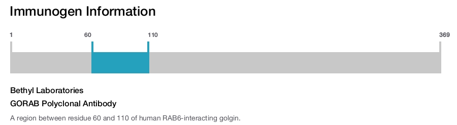 GORAB Polyclonal Antibody