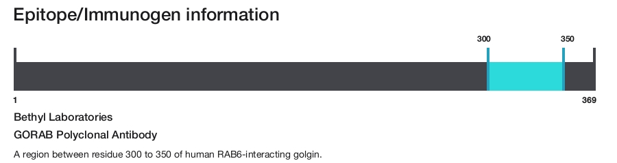GORAB Polyclonal Antibody