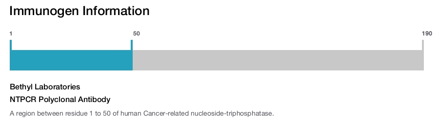 NTPCR Polyclonal Antibody