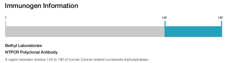 NTPCR Polyclonal Antibody