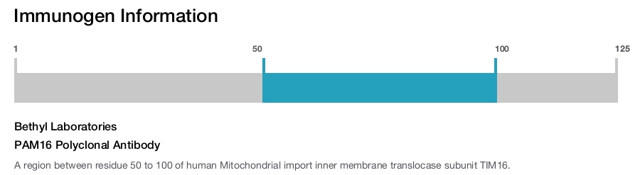 PAM16 Polyclonal Antibody