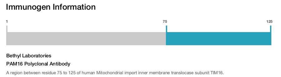 PAM16 Polyclonal Antibody