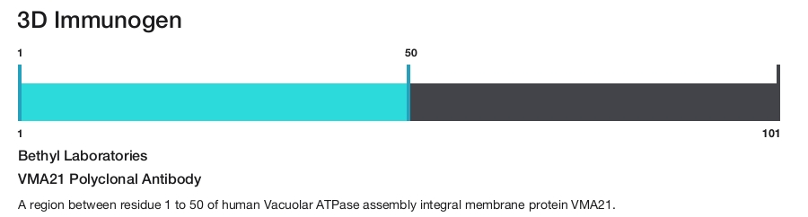 VMA21 Polyclonal Antibody