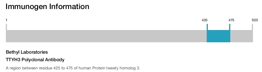 TTYH3 Polyclonal Antibody