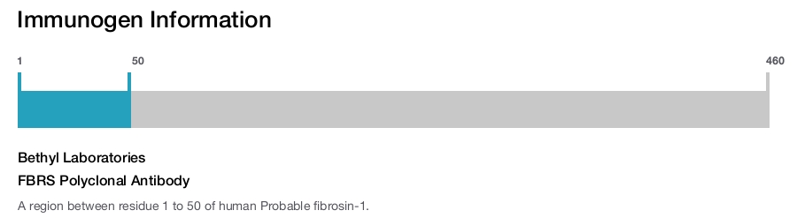 FBRS Polyclonal Antibody