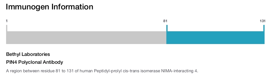 PIN4 Polyclonal Antibody