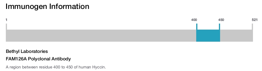 FAM126A Polyclonal Antibody