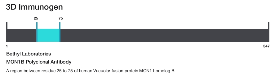 MON1B Polyclonal Antibody