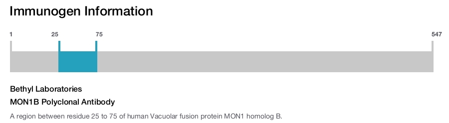 MON1B Polyclonal Antibody