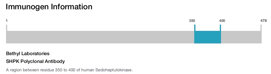 SHPK Polyclonal Antibody