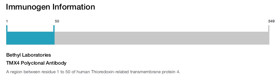 TMX4 Polyclonal Antibody