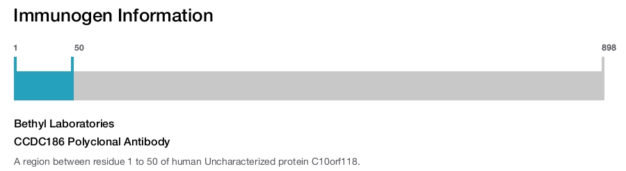 CCDC186 Polyclonal Antibody