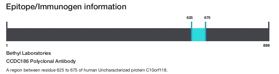 CCDC186 Polyclonal Antibody