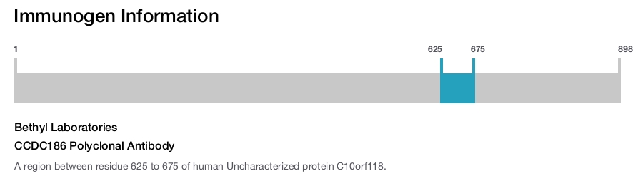 CCDC186 Polyclonal Antibody
