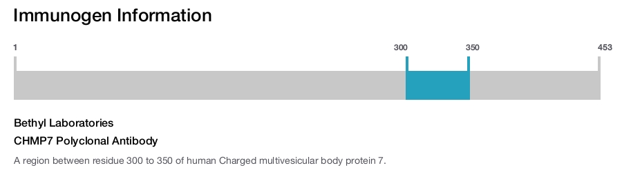 CHMP7 Polyclonal Antibody