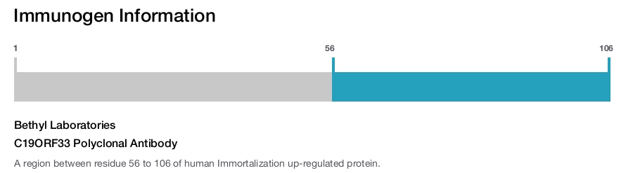C19ORF33 Polyclonal Antibody