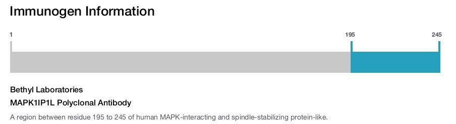 MAPK1IP1L Polyclonal Antibody