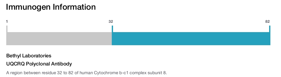 UQCRQ Polyclonal Antibody