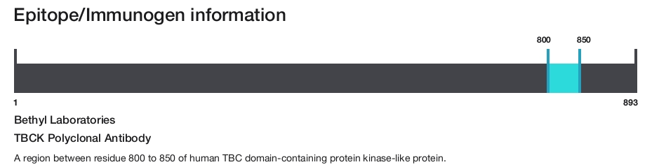 TBCK Polyclonal Antibody