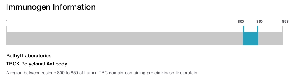 TBCK Polyclonal Antibody