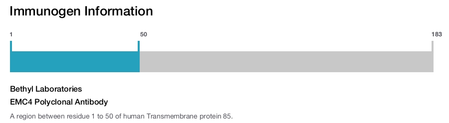 EMC4 Polyclonal Antibody