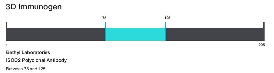 ISOC2 Polyclonal Antibody
