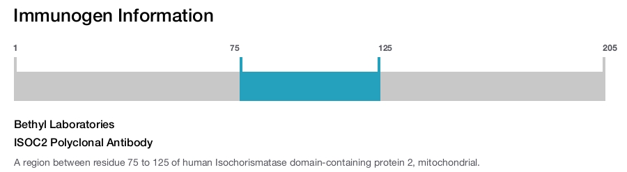 ISOC2 Polyclonal Antibody