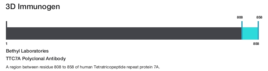 TTC7A Polyclonal Antibody
