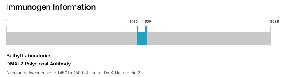 DMXL2 Polyclonal Antibody