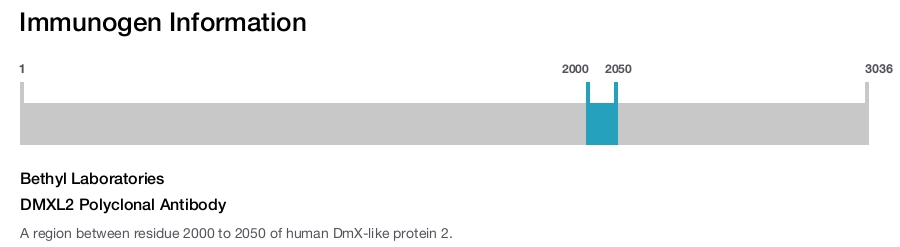 DMXL2 Polyclonal Antibody