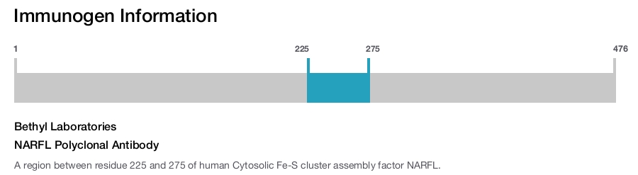 NARFL Polyclonal Antibody