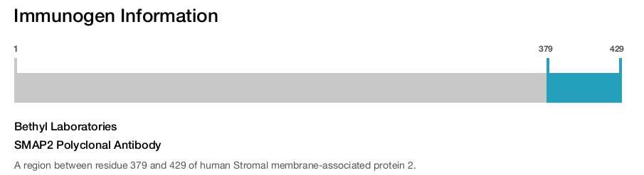 SMAP2 Polyclonal Antibody